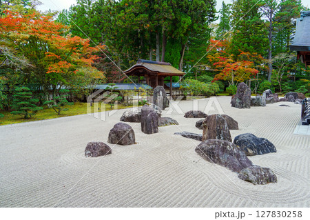 高野山　秋の金剛峯寺の蟠龍庭 127830258