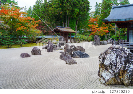 高野山　秋の金剛峯寺の蟠龍庭 127830259