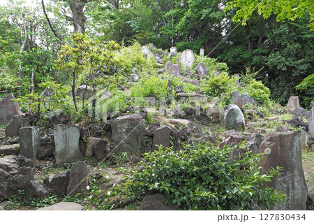 護国寺の富士塚（音羽富士）【東京都文京区】 127830434
