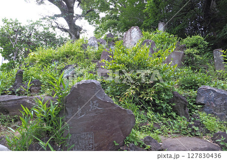 護国寺の富士塚（音羽富士）【東京都文京区】 127830436