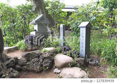 護国寺の富士塚(音羽富士)【東京都文京区】 護国寺の富士塚(音羽富士)【東京都文京区】 127830439