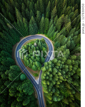 Scenic Winding Road Through Lush Green Forest Captured From Above in Daylight 127830450