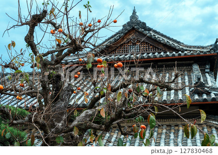 九度山の真田庵 九度山の真田庵 127830468
