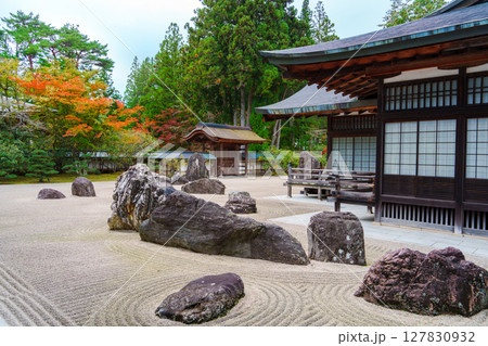 高野山 秋の金剛峯寺の蟠龍庭 高野山 秋の金剛峯寺の蟠龍庭 127830932