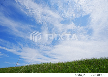 7月の葛飾奥戸の中川土手の上に広がる青空 127830992