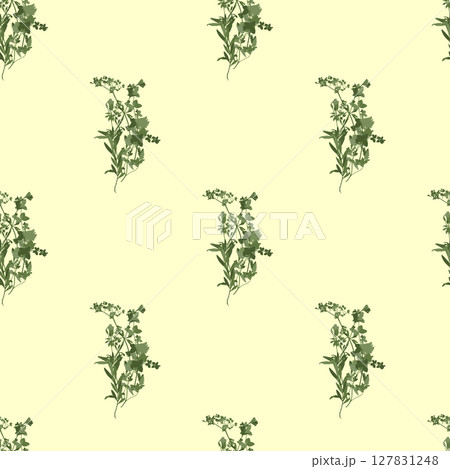 Seamless pattern with bunches of different grass and herbs. Floral cottagecore background. Dry herbarium plants wallpaper. 127831248