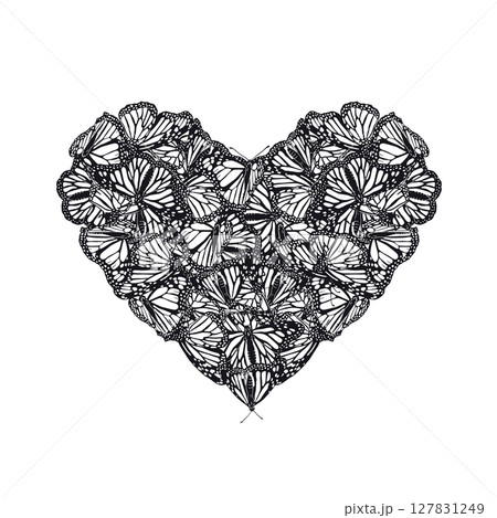 Heart shape hand drawn monochrome monarch butterflies composition 127831249