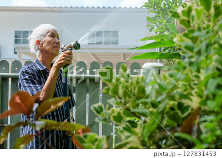 Senior asian woman watering the garden 127831453
