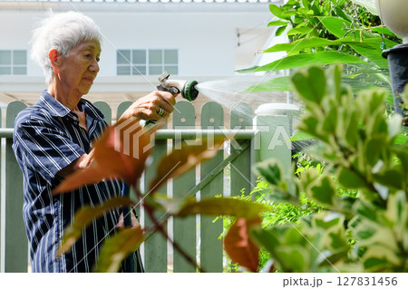 Senior asian woman watering the garden Senior asian woman watering the garden 127831456