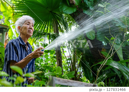 Senior asian woman watering the garden 127831466
