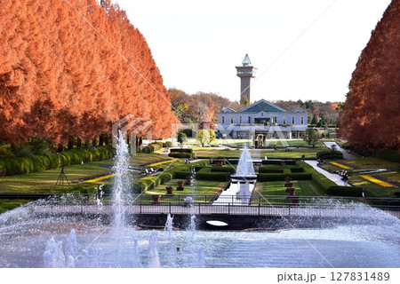 神奈川県立相模原公園のフランス式庭園とメタセコイア並木の紅葉 127831489
