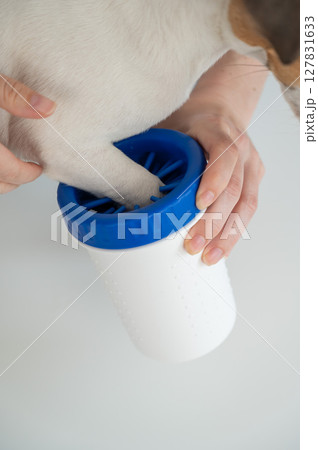 The owner washes the dog's paws in a special device.  127831633