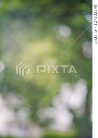 bokeh blur background light through trees bokeh effect 127832249