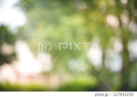 Bokeh Blur, Blur Image, Beautiful Light Background Image 127832250