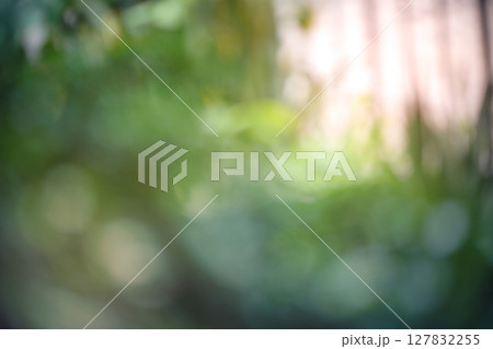 Bokeh Blur, Blur Image, Beautiful Light Background Image Bokeh Blur, Blur Image, Beautiful Light Background Image 127832255