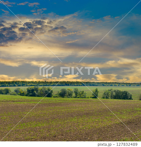Harvested Fields and meadows landscape . 127832489