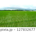 田園風景 127832677