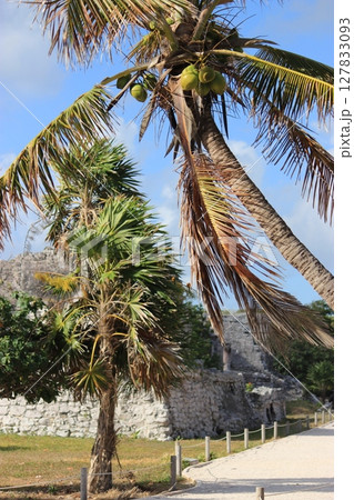 メキシコ！カリブ海とのコントラストが美しいトゥルム遺跡と光のカーテンが美しいグランセノーテ、カンクン 127833093