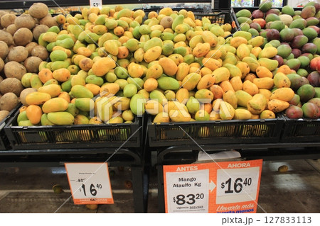 メキシコ！カリブ海とのコントラストが美しいトゥルム遺跡と光のカーテンが美しいグランセノーテ、カンクン 127833113