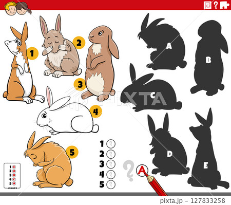 finding shadows puzzle with cartoon rabbits...のイラスト素材 [127833258] - PIXTA