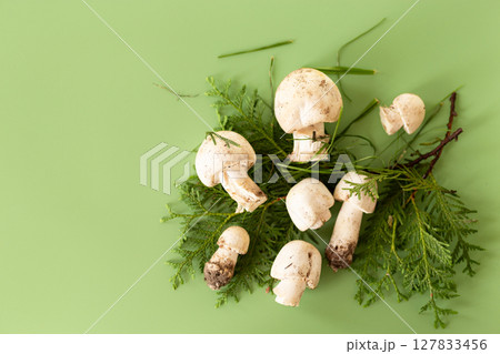Natural champignon mushrooms on green background 127833456