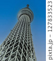 スカイツリーを見上げて 127833523