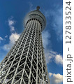 スカイツリーを見上げて 127833524