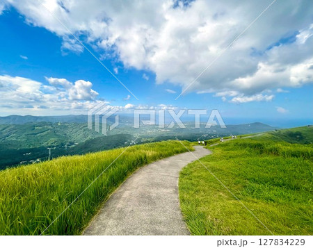 大草原を歩く 127834229