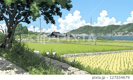 田んぼ