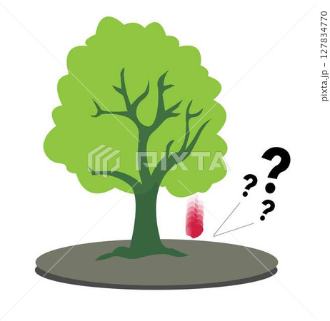 Gravity, falling apple, Isaac newton idea universal law, fall red apple tree down, Step down stages, timeline, Weight and mass experiment, Inertia, motion 127834770