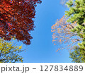 秋空 秋空 127834889