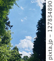 神域の青空 神域の青空 127834890