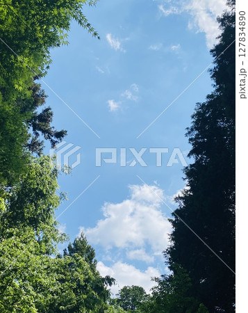 神域の青空 神域の青空 127834890