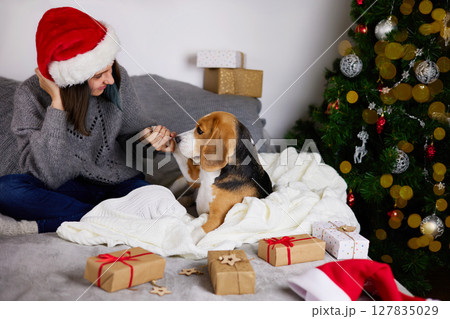 A girl in a Santa Claus hat is playing on the bed with her dog beagle. 127835029