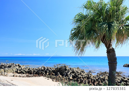 白浜海岸(鹿児島県いちき串木野市羽島) 白浜海岸(鹿児島県いちき串木野市羽島) 127835381