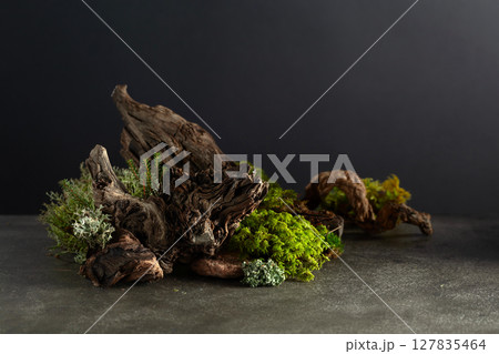 Northern natural composition with lichen, moss, branches and driftwood. 127835464