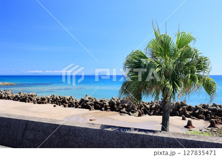 白浜海岸(鹿児島県いちき串木野市羽島) 白浜海岸(鹿児島県いちき串木野市羽島) 127835471