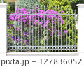 metal fence with arrows on the top 127836052