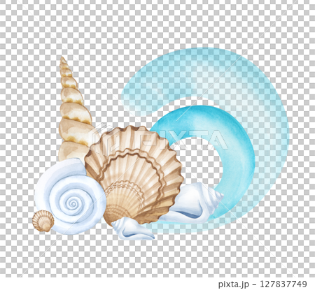 A watercolor composition with different seashells and a stylized turquoise sea wave. The illustration is isolated on a white background. A template for postcards, greetings, and invitations in a A watercolor composition with different seashells and a stylized turquoise sea wave. The illustration is isolated on a white background. A template for postcards, greetings, and invitations in a 127837749
