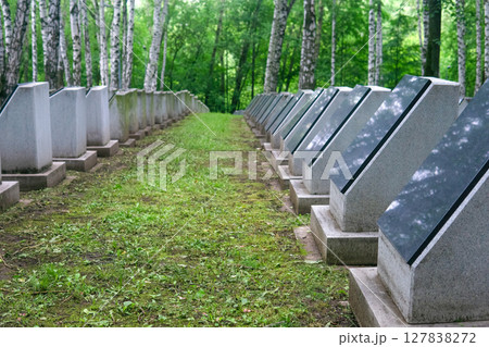 old memorial soldier cemetery with tombstones among birches old memorial soldier cemetery with tombstones among birches 127838272
