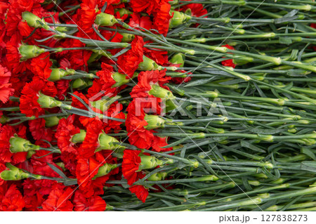 Red carnation flowers in the flower market, closeup of photo 127838273