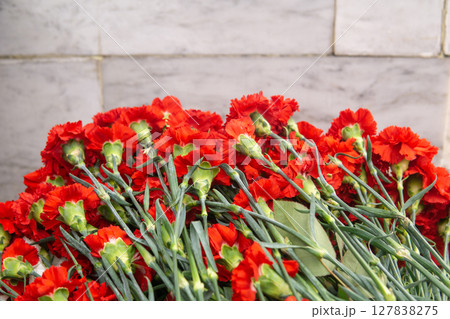 Red carnation flowers on a white marble background with copy space. Red carnation flowers on a white marble background with copy space. 127838275