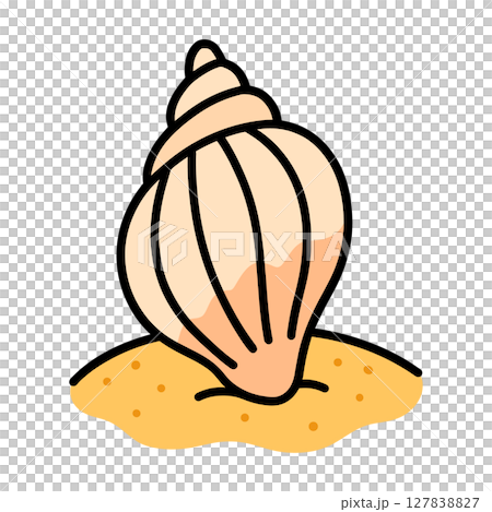 海螺殼的可愛插圖(夏季,大海,手繪風格) 海螺殼的可愛插圖(夏季,大海,手繪風格) 127838827