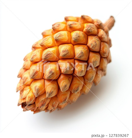 Golden Pandanus Fruit Detailed Closeup Studio Shot Tropical Plant food cone seed ripe image white 127839267