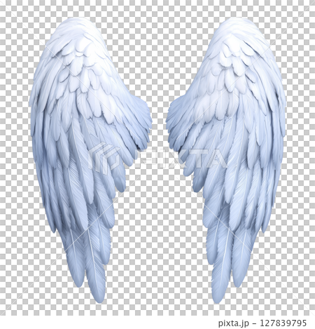 White angel wings with detailed feathers are depicted against transparent background, symbolizing purity and grace. wings are symmetrical and appear soft and ethereal 127839795