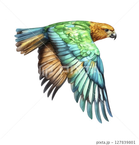 Vibrant parrot with green, blue, and orange feathers is captured in mid flight, showcasing its colorful plumage and dynamic movement against plain background Vibrant parrot with green, blue, and orange feathers is captured in mid flight, showcasing its colorful plumage and dynamic movement against plain background 127839801