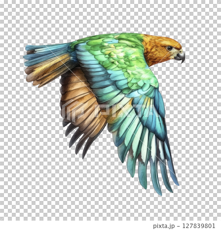 Vibrant parrot with green, blue, and orange feathers is captured in mid flight, showcasing its colorful plumage and dynamic movement against plain background Vibrant parrot with green, blue, and orange feathers is captured in mid flight, showcasing its colorful plumage and dynamic movement against plain background 127839801