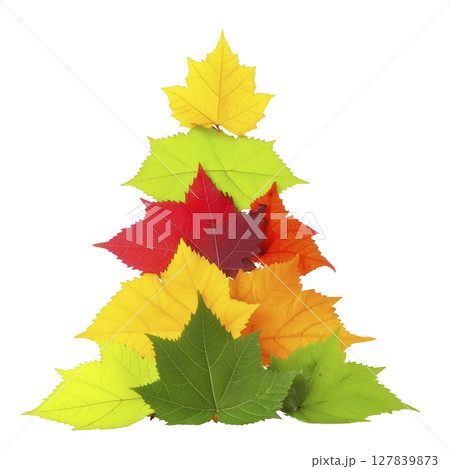 Vibrant arrangement of colorful autumn leaves forms tree shape, showcasing shades of green, yellow, red, and orange. leaves are layered creatively, evoking sense of seasonal change and natural Vibrant arrangement of colorful autumn leaves forms tree shape, showcasing shades of green, yellow, red, and orange. leaves are layered creatively, evoking sense of seasonal change and natural 127839873