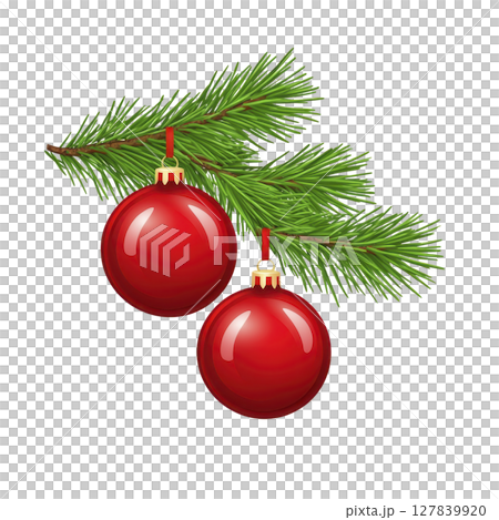 Two red Christmas ornaments hang from green pine branch, creating festive and cheerful holiday decoration 127839920