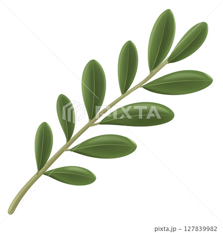 Green olive branch with smooth leaves symbolizes peace and harmony. branch is depicted with natural, realistic style, showcasing its vibrant green color and elongated leaves 127839982